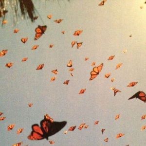 Meet your Posher, Nichol